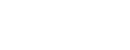 logo preview