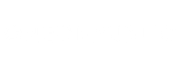 logo preview