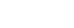 logo preview