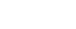 logo preview
