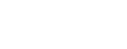 logo preview