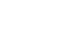 logo preview