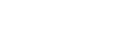 logo preview