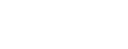 logo preview