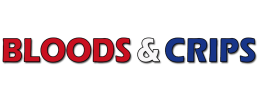 logo preview