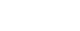 logo preview