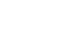 logo preview