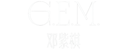 logo preview