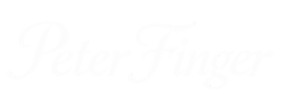 logo preview