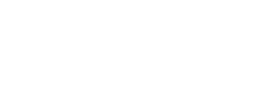 logo preview
