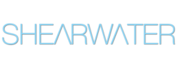 logo preview