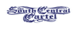 logo preview