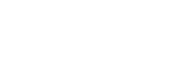 logo preview