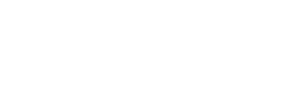 logo preview