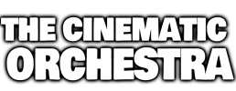 logo preview