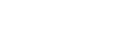 logo preview