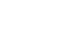 logo preview