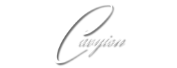 logo preview