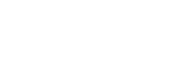 logo preview