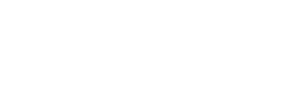 logo preview