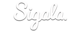logo preview