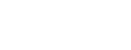 logo preview