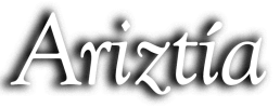 logo preview
