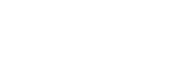 logo preview