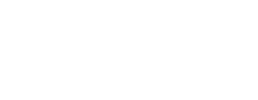 logo preview