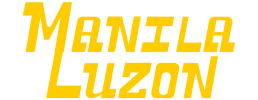 logo preview