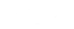 logo preview