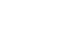 logo preview