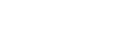 logo preview