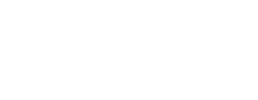 logo preview