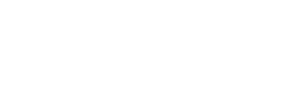 logo preview