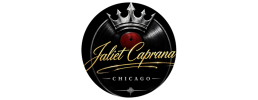 logo preview