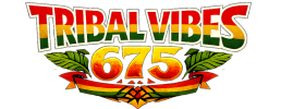 logo preview