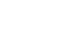 logo preview