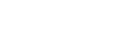 logo preview