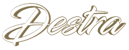 logo preview