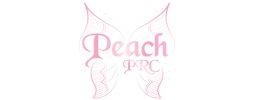 logo preview
