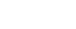 logo preview