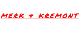 logo preview