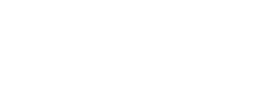 logo preview
