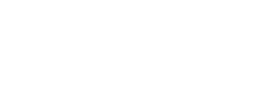 logo preview
