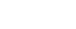 logo preview