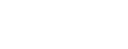 logo preview