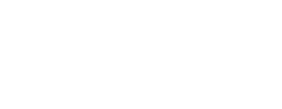 logo preview
