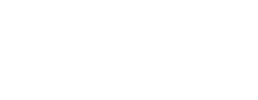 logo preview