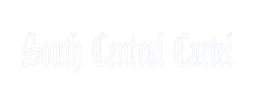 logo preview
